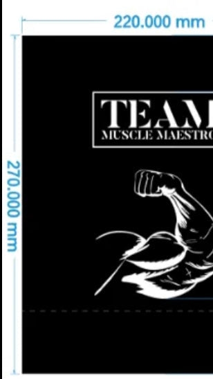 Gift Bag - "Team Muscle Mestro"